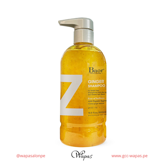 Pack Ginger Hidratación Ligera BAOR - imagen principal de BAOR Shampoo Ginger 500 ml