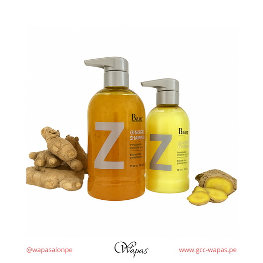 BAOR Shampoo Ginger 500 ml - vista producto