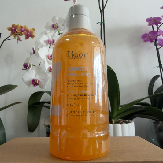Shampoo Ginger 500 ml – BAOR