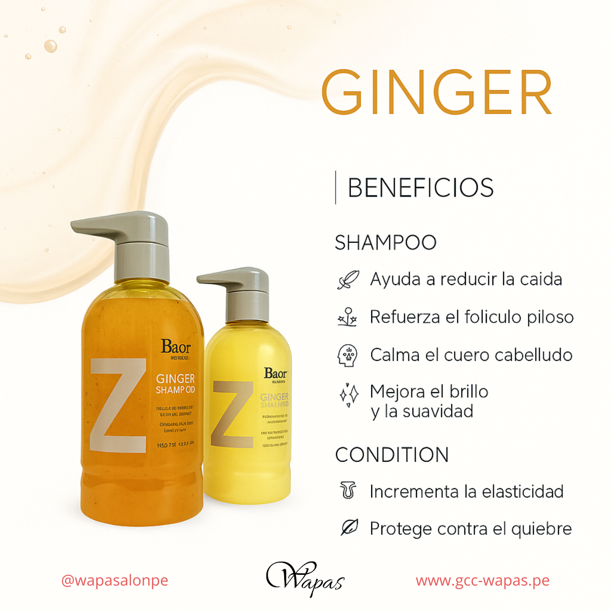 BAOR Shampoo Ginger 500 ml - vista producto