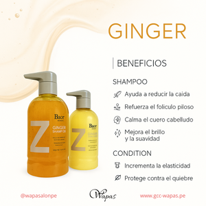 BAOR Shampoo Ginger 500 ml - vista producto