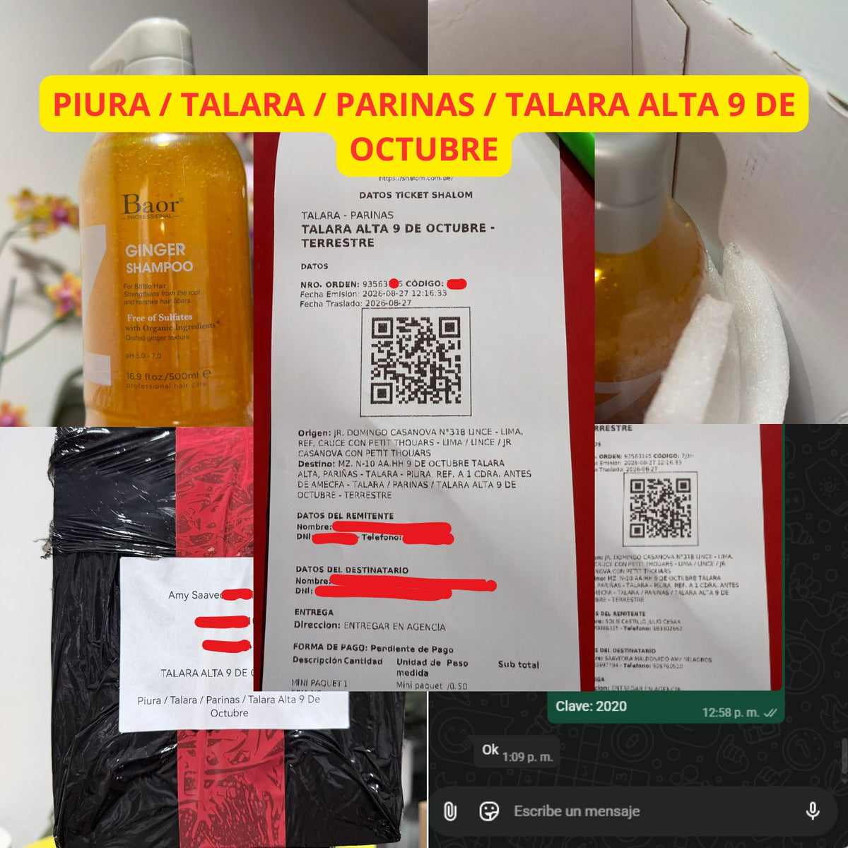 Shampoo Ginger 500 ml – BAOR