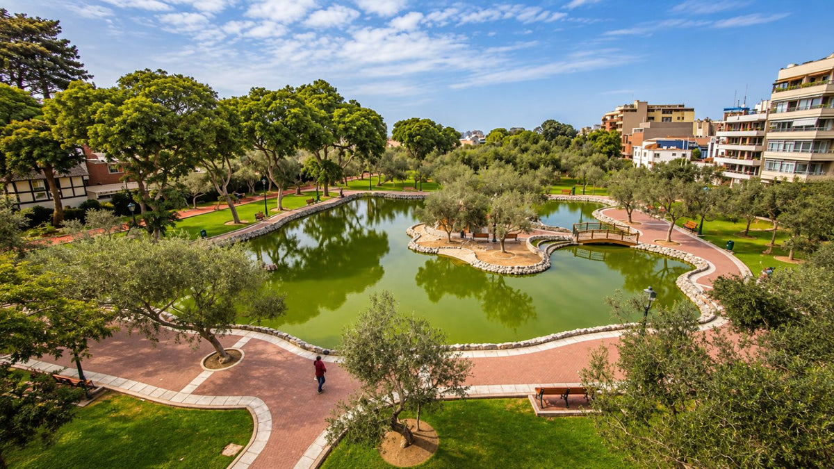 El Olivar San Isidro