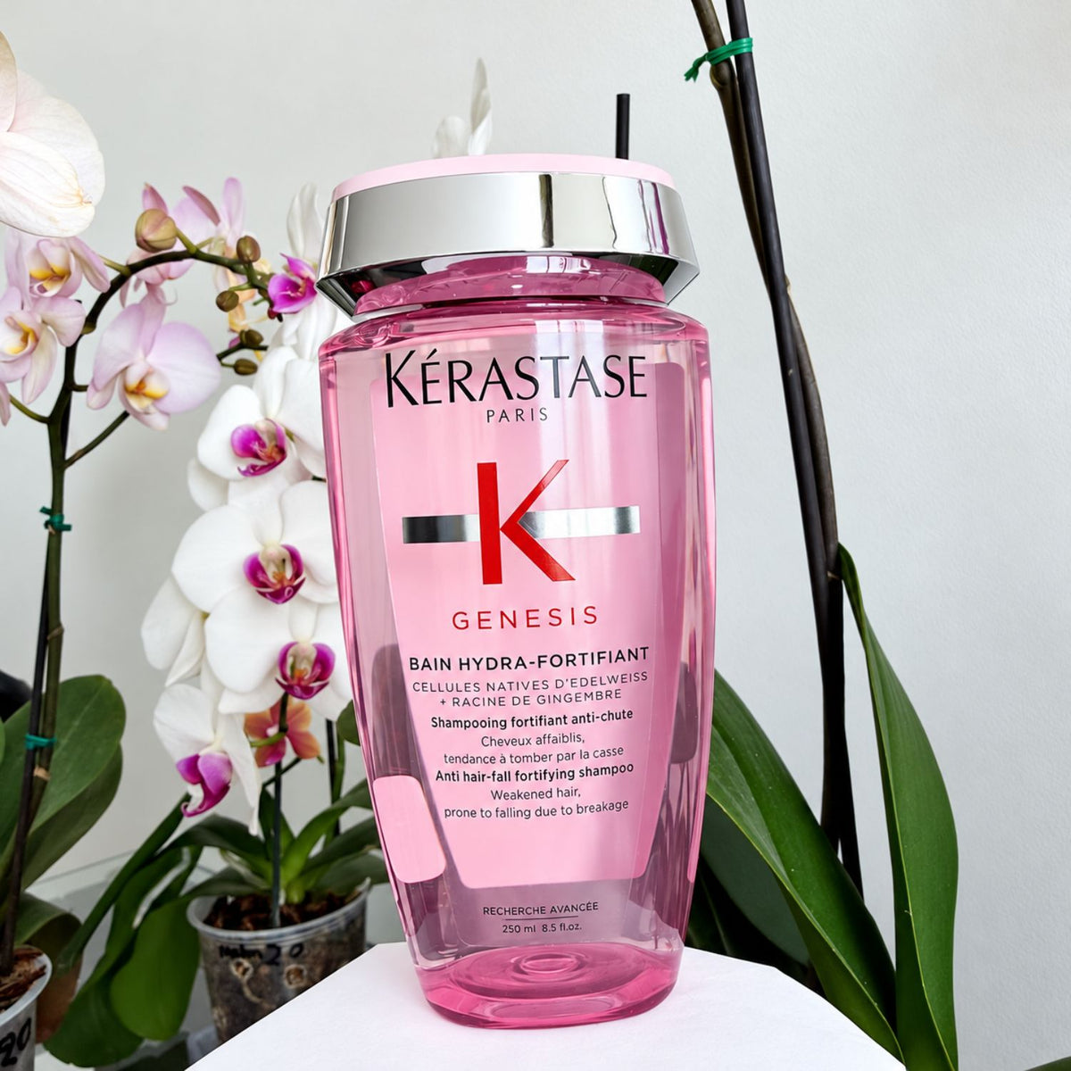 Shampoo fortalecedor anti-caída por rotura para pelo fino y graso.
Su espuma generosa elimina las impurezas y el exceso de grasa para un pelo mas ligero. Refuerza la fibra para reducir la caída ocasionada por la rotura. Enriquecido con Células Nativas de Edelweis, conocidas en el cuidado de la piel por su poder antioxidante y Raíz de Jengibre conocido por su efecto protector contra los agresores externos. Textura Gel transparente.