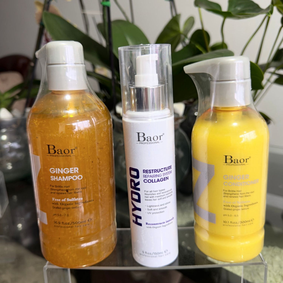 Foto real en Wapas del pack BAOR Ginger con shampoo y acondicionador y Hydro Collagen.